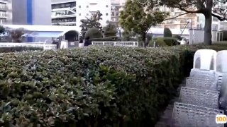 亚洲AⅤ永久无码一区二区三区女同事第一弹！极品女同事给我深喉